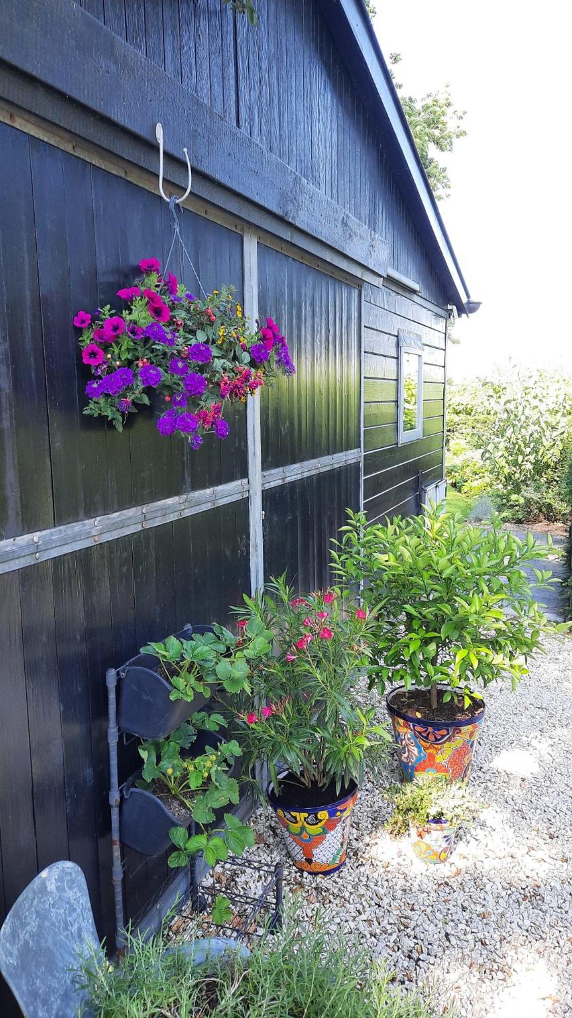 Vakantiehuis Onder De Peppel Met Sauna En Jacuzzi Wijk en Aalburg المظهر الخارجي الصورة